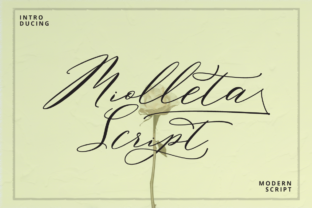 Miolleta Script: A Thoughtful Choice for Expressive, Human-Centered Typography